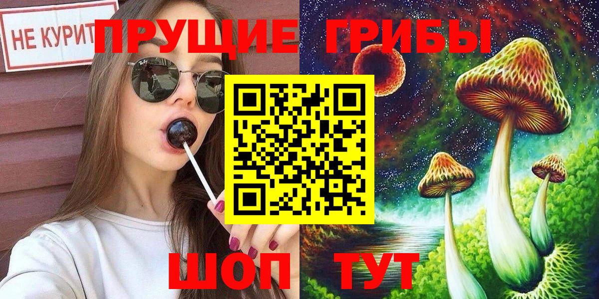закладки  Псилоцибиновые грибы Psilocybine cubensis  Псилоцибиновые грибы Magic Shrooms  Вход с VPN  Димитровград 