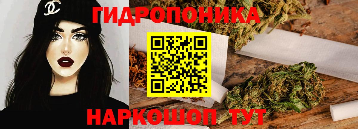 Шишки марихуана планчик Димитровград